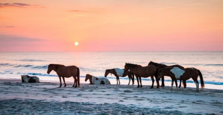10 Lugares de Acampada en EE. UU. Con Vistas de Ensueño