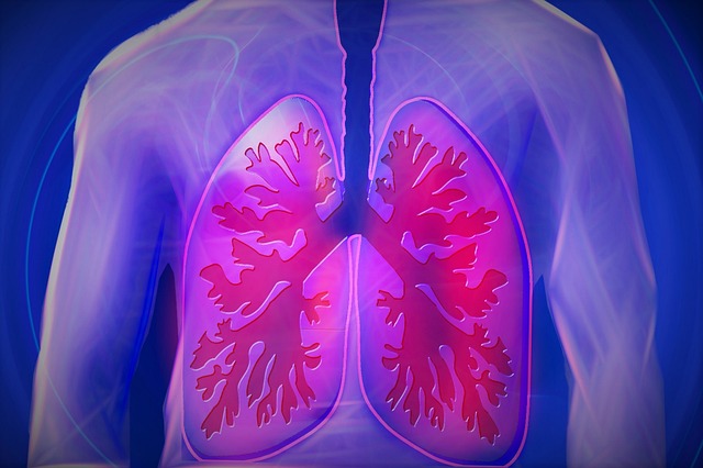 10 Aspectos de Cómo la Calidad del Aire Repercute en Tu Salud 2 1759755618 605 ¡El Arte de Vivir Saludablemente