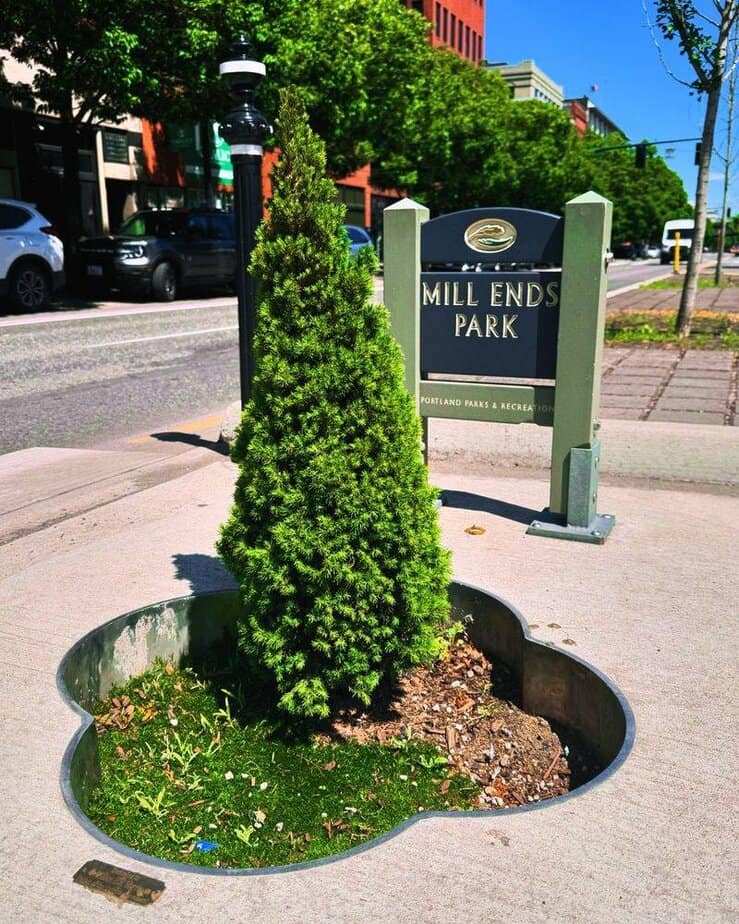 10 Must-Do Portland Adventures That Aren't on Every Tourist's List Pause at Mill Ends Park