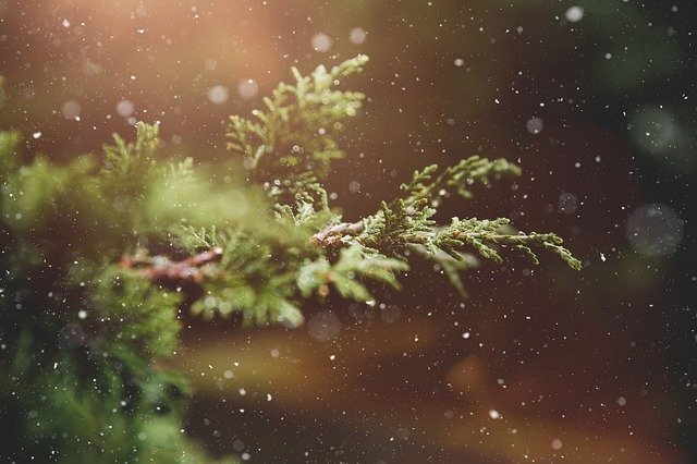 10 Secretos Para Una Decoración Navideña Sostenible 1 ¡Decoracion Navidena Sostenible 10 Ideas Geniales